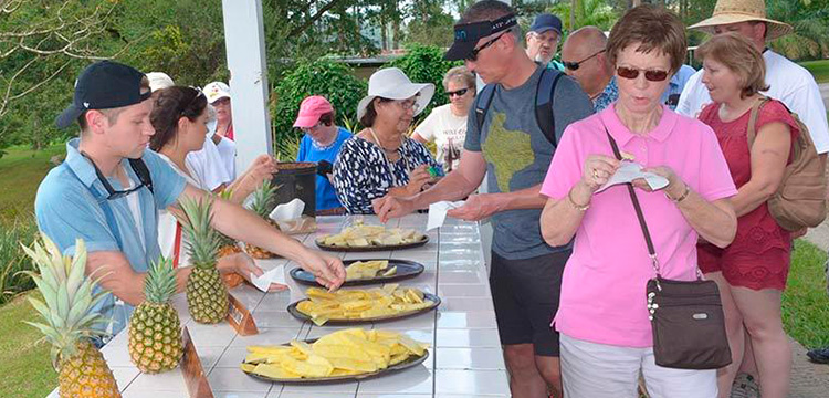 Croydon In The Mountains- Jamaica